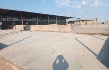 گاوداری تجهیز شده و کامل در قزوین