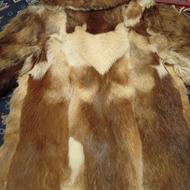 پالتو پوست با کلاه همرنگ