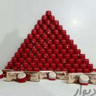 کرم شب درجه یک با کیفیت عالی