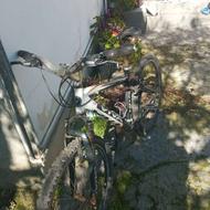 دوچرخه ویوا اصل