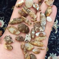 سنگ راف باباقوری