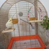 قفس پرنده نو و سالم و تمیز