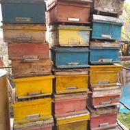 کندوی زنبور عسل همراه قاب