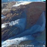 کاه درجه یک ریز200خلوار