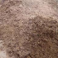 پهن گوسفندی