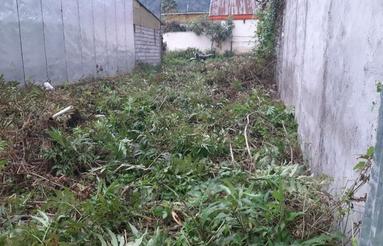 زمین مسکونی باسند تک برگ لاهیجان