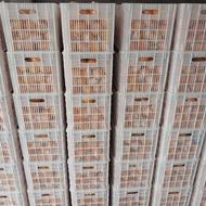 پرتقال نایلون پیچ