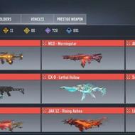 اک گاد صیف تضمینی