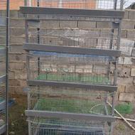 فروش قفس بلدرچین تخمگذار