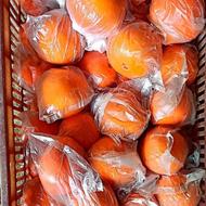 فروش پرتغال (تامسون) و (تامسون) خونی درجه یک