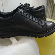 سه جفت کفش و کتونی اصلی چرم درحدنو
