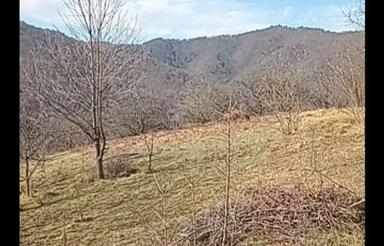 زمین دارای سند تک برگ