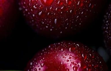 مغازه 200 متری ( زمین)خ نظامی