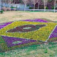 خدمات کشاورزی