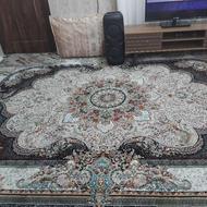 فروش فرش به خاطر تعقییر دکارسییون