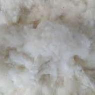 پنبه دست دوم شسته و آماده زدن