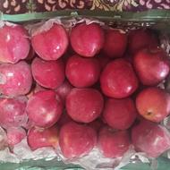 سیب ممتاز درجه یک