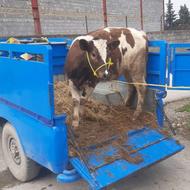 فروش تلم داشتی اس جنس