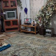 کارگر چوپان تعداد 100راس گوسفند