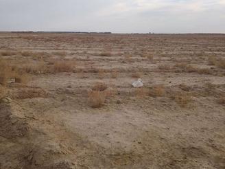 زمین کشاورزی