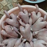 خروس گوشتی محلی