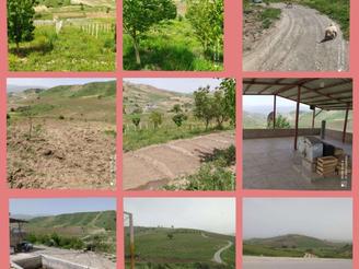 باغ 7هکتاری