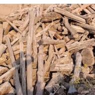 هرس وخرید انواع چوب های باغی