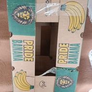 کارتن سالم موز