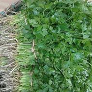 انواع سبزی خورد شد بسته های 500 گرمی