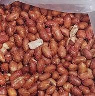 بادوم زمینی ریزه شور‌