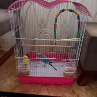 قفس پرنده همرله با لانه ک ظرف اب و تاب