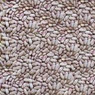 لوبیا چیتی دیباج درجه یک