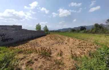 فروش زمین مزروعی بر جاده اصلی محدوده شهر