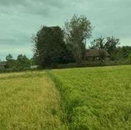 زمین برای اجاره دارم