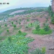 سرایداری برای باغ