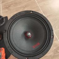 یک جفت میدرنج سایز 6