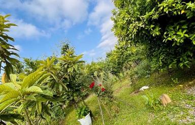 فروش زمین مسکونی