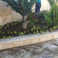 خدمات باغبانی و نگهداری فضای سبز