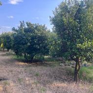 فروش زمین کشاورزی 7500 متر در مرکز شهر