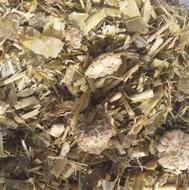 فروش ذرت علوفه ای