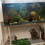 باسلام اکواریوم فروشی