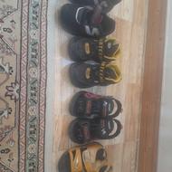 چندتاصندل کتونی