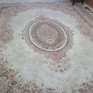 دو عدد فرش 12 متری