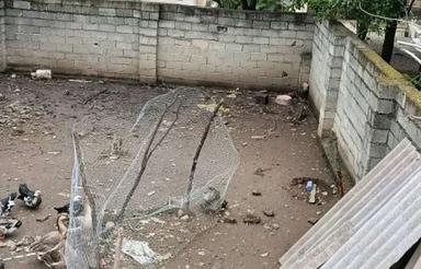 زمین با سند تک برگ با پروانه ساخت معاوضه با ماشین