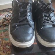 کتونی نو سایز 43