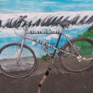 دو عدد دوچرخه کوهستان