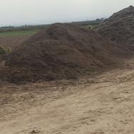 کود گوسفندی