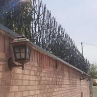 پخش مستقیم نرده حفاظ نیزه ای شاخ گوزنی