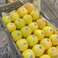 خانم برای صورت سیب