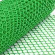 گم شدن یک حلقه توری سبز رنگ